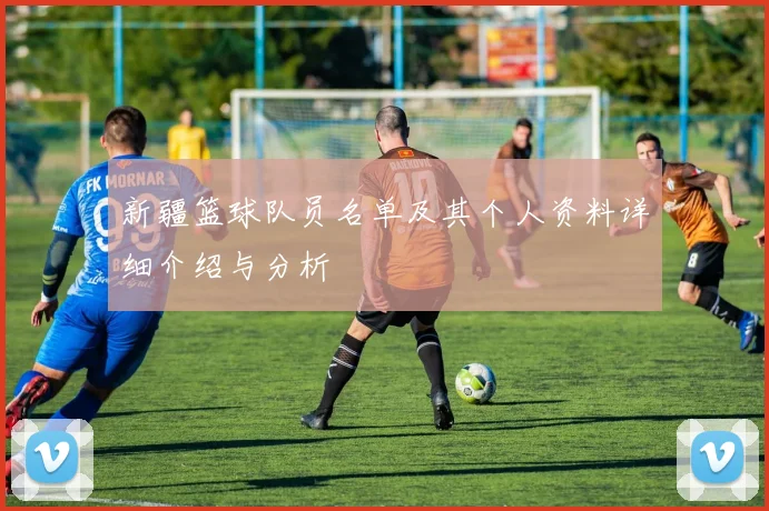 新疆篮球队员名单及其个人资料详细介绍与分析