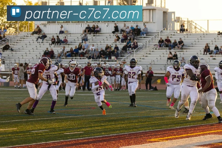 C7 GAME平台生态图